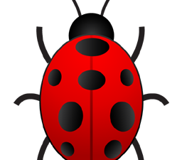 Bug Png 2 256X225 (black, maroon, red)