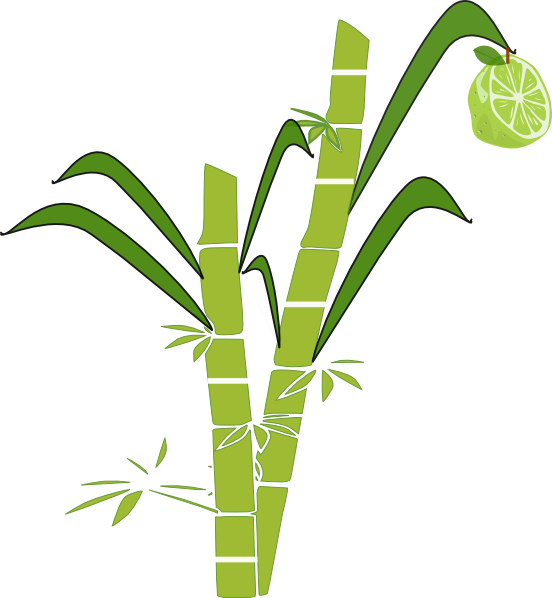 Suger Cane Png Isolated Hd (olive, green, white)