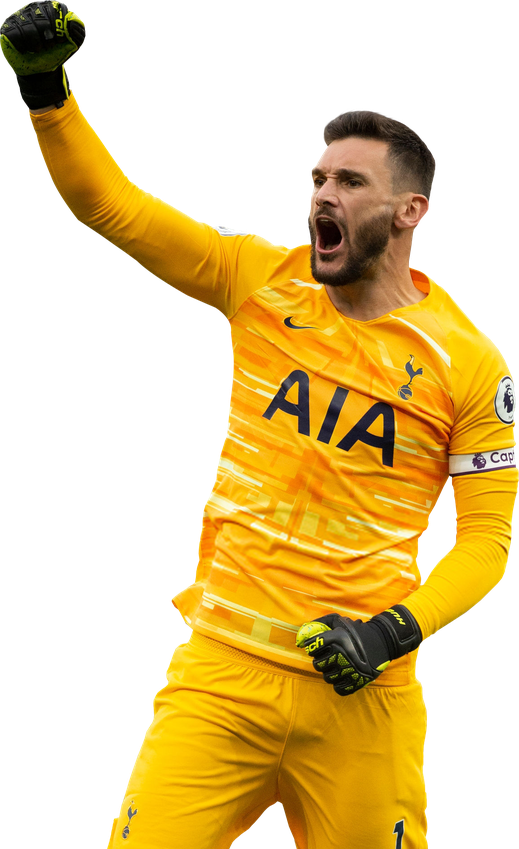 Hugo Lloris Png Picture (orange, black, gold)