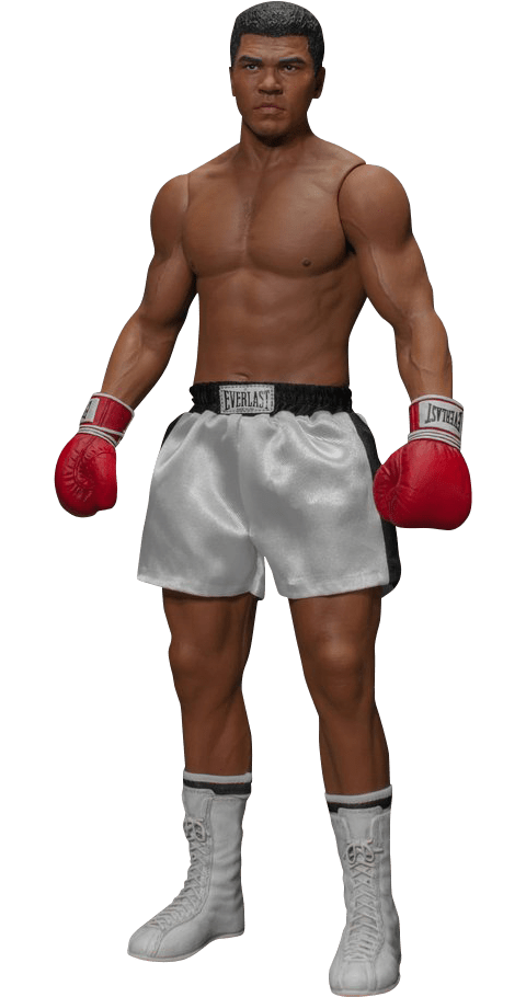 Muhammad Ali Png File (gray)