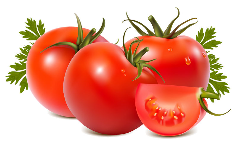 Juicy Fresh Tomatoes Bunch Png Image (black, red, chocolate)