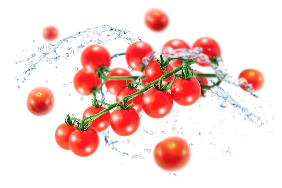 Juicy Fresh Tomatoes Bunch Png Photos (black)