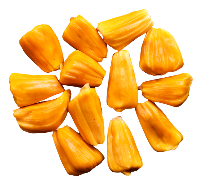 Juicy Jackfruit Transparent Background (orange, black)