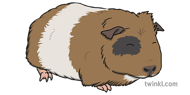 Guinea Pigs Png Image (indigo, beige, gray)