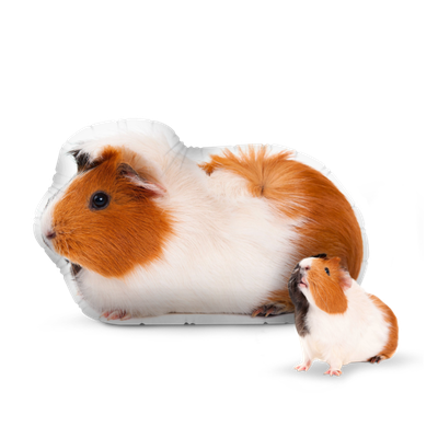 Guinea Pigs Png Isolated Pic (black, beige, white)