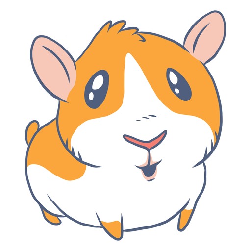 Guinea Pigs Png Pic (black, orange, pink, white)