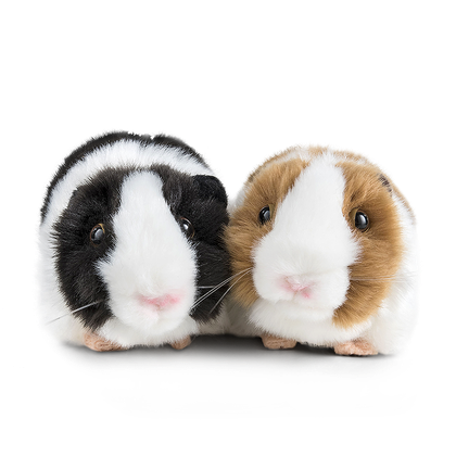 Guinea Pigs Png (black, lavender)