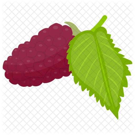 Mulberry Png Free Download (indigo, olive, purple, black)