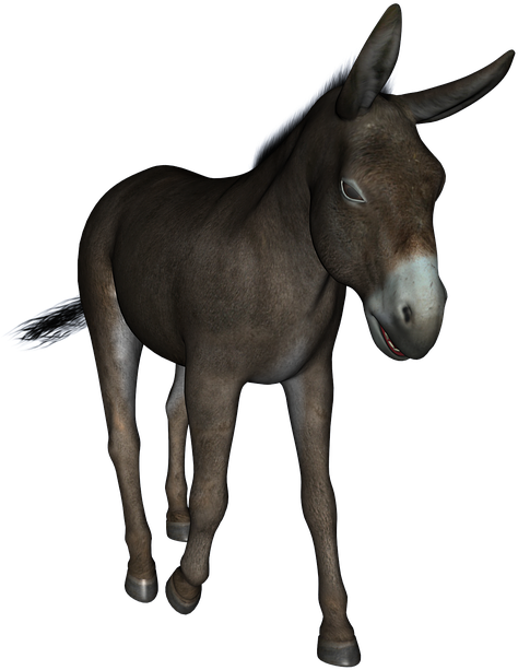 Mule Png Hd Isolated (black)