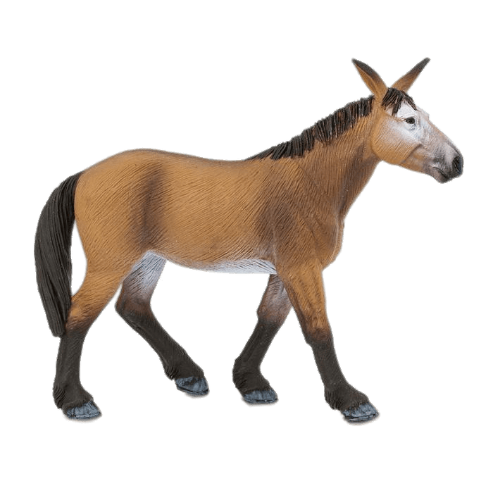 Mule Png Picture (gray)