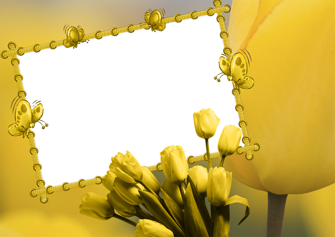 Tulip Border Png Isolated Hd (black, orange, gold)