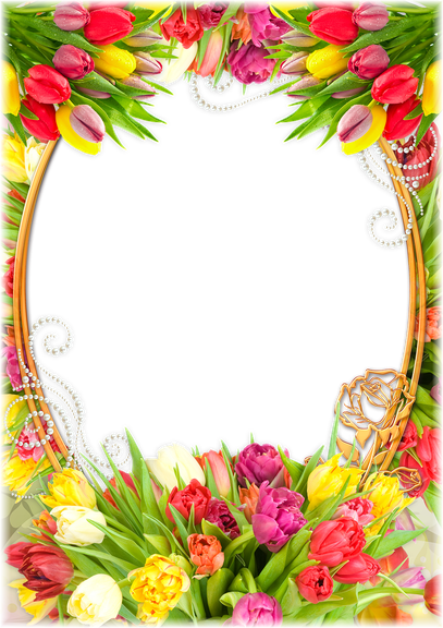 Tulip Border Png Picture (beige, black, gray, gold, white)