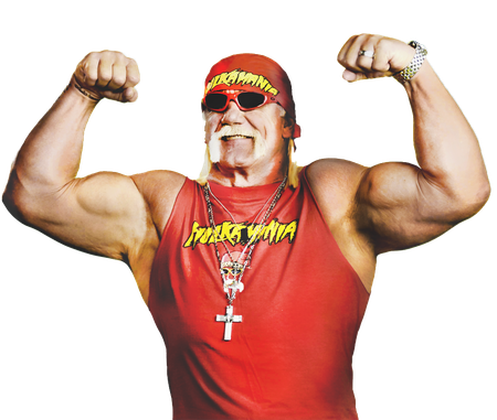 Hulk Hogan Png Photo (maroon, black)