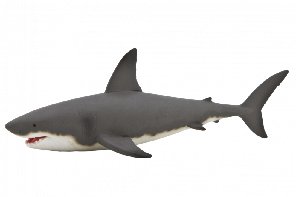 Bull Shark Png Isolated Hd (black, gray)