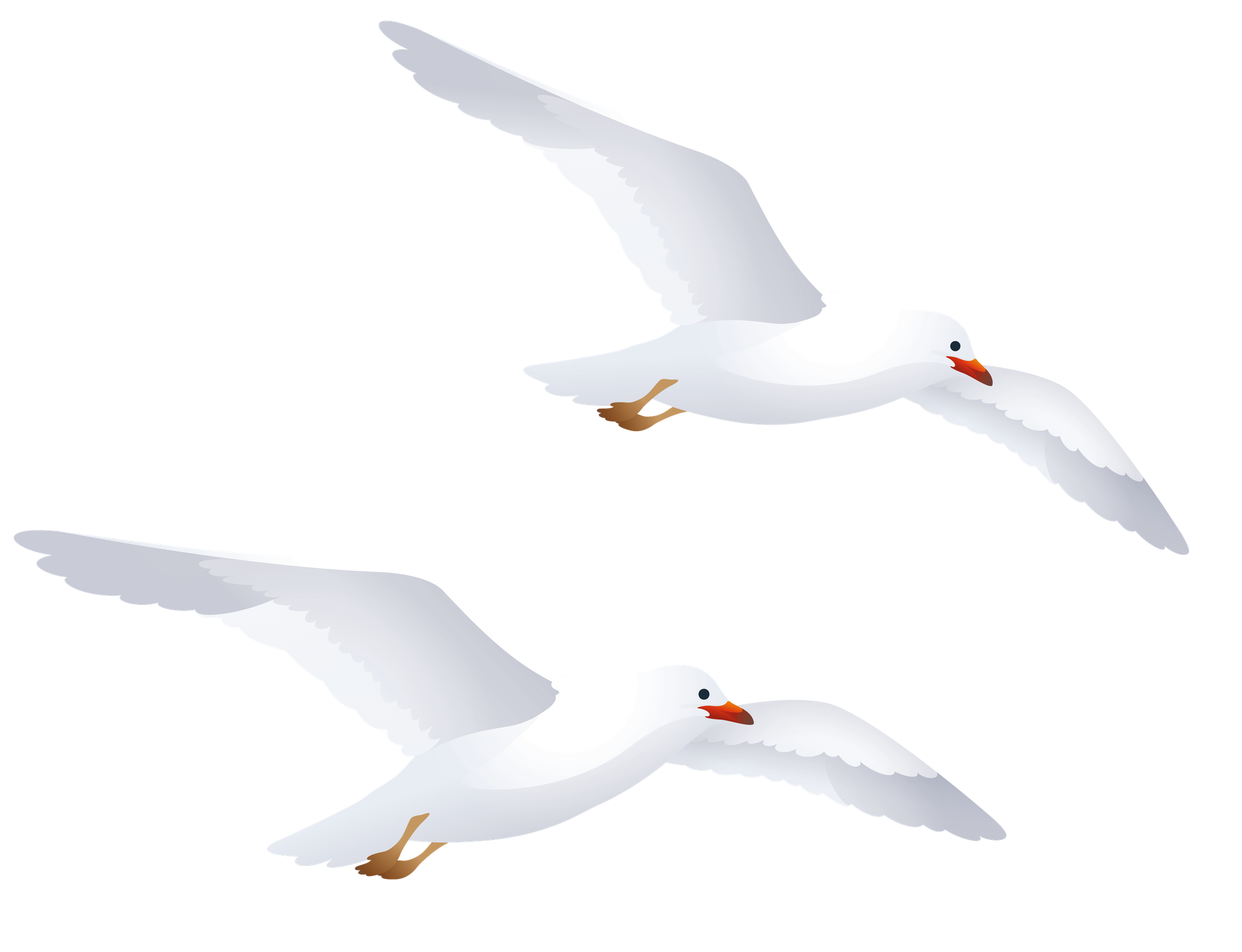 Gulls Png Image (black, silver, lavender, white)