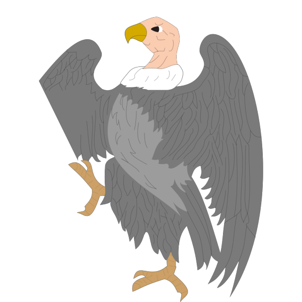 Vulture Png File (black, gray)