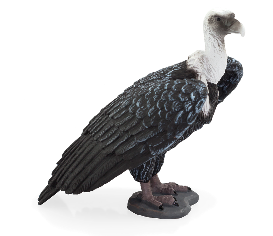 Vulture Png (black)