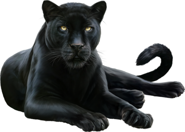 Puma Animal Png Image (black)