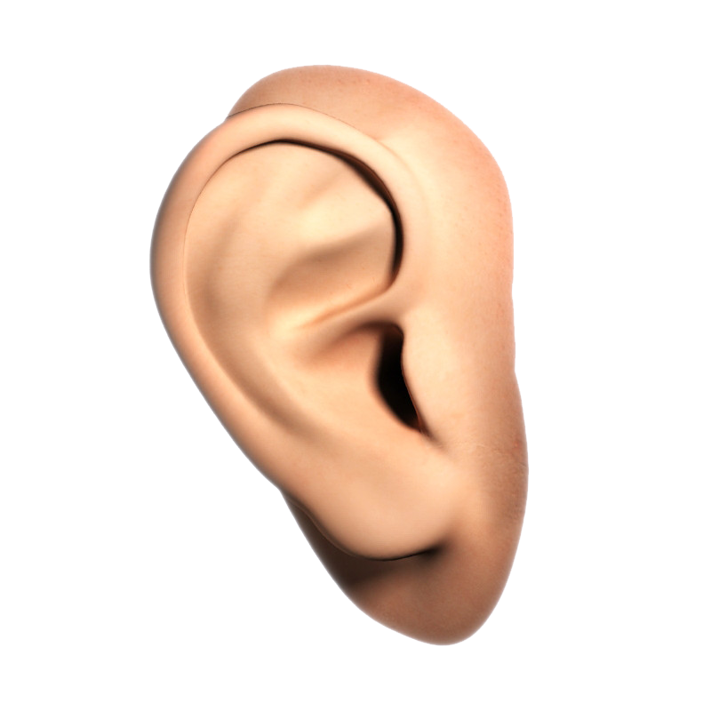 Human Ear Png File (pink, white)