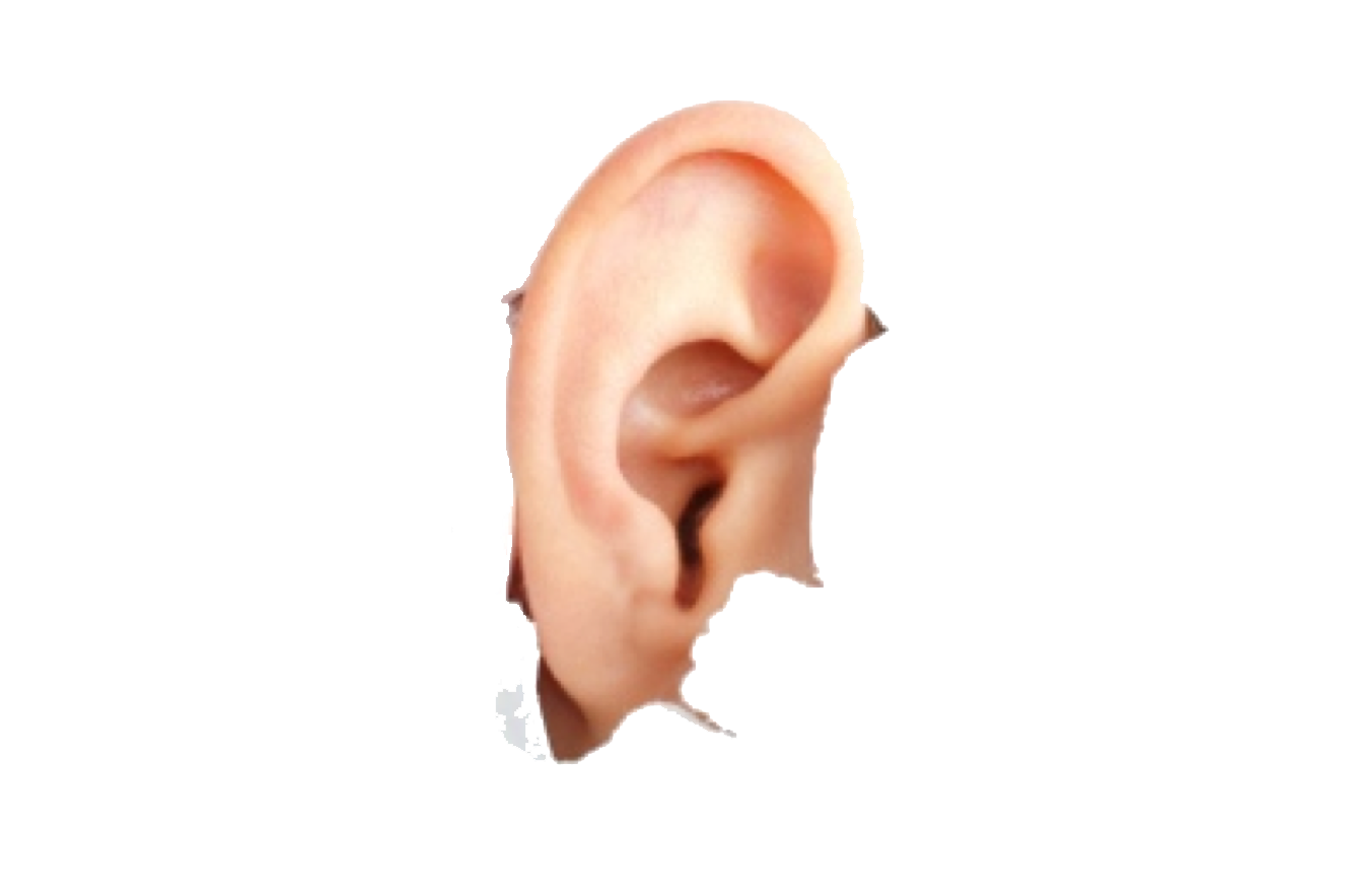 Human Ear Png Image (pink, white)