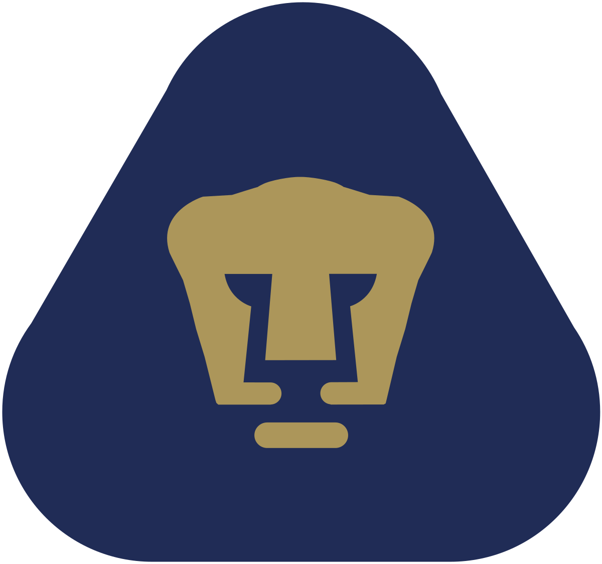 Pumas Unam Png Hd (gray, navy, black)