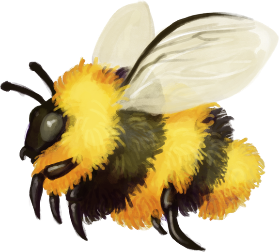 Bumblebee Insect Png Free Download (beige, black)