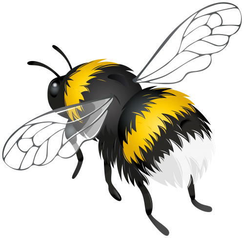 Bumblebee Insect Png Photo (white, lavender, black)