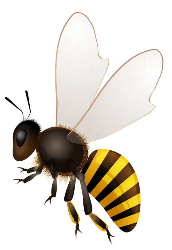 Bumblebee Insect Png Pic (beige, black, silver)