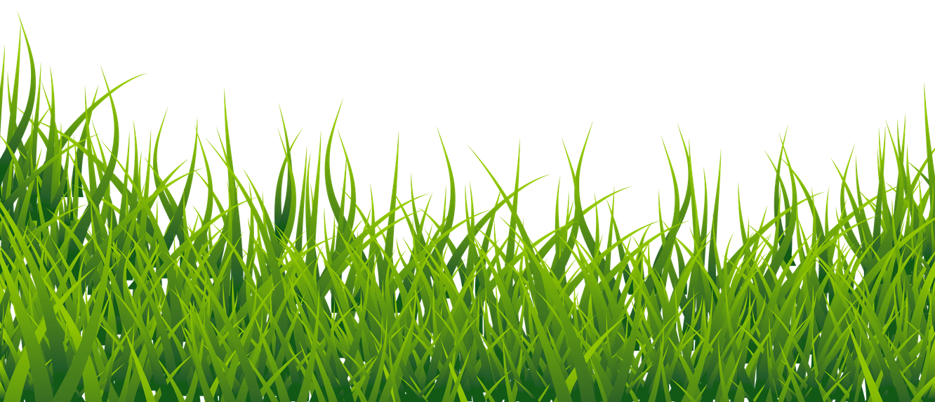 Summer Green Field Png File (olive, black)