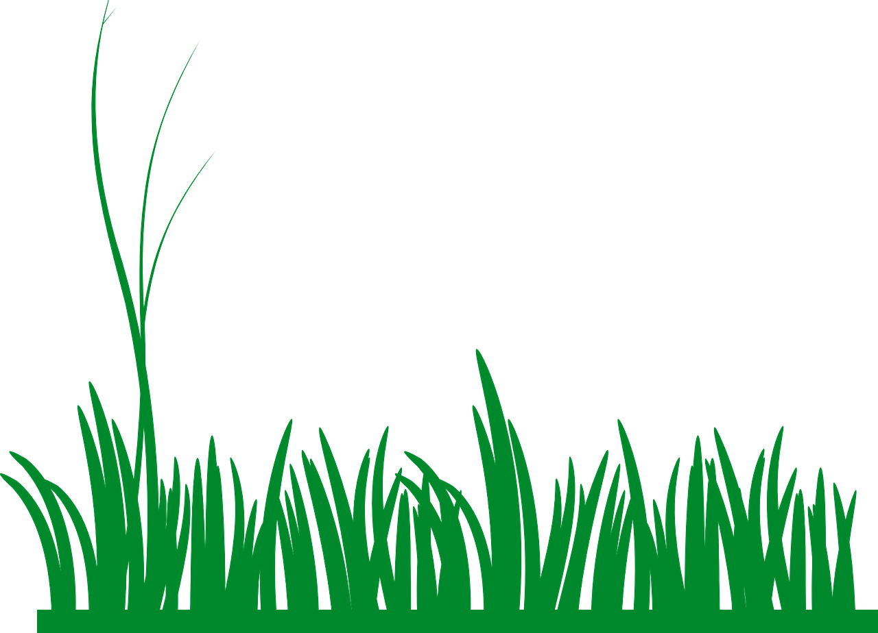 Summer Meadow Png Image (black, green)