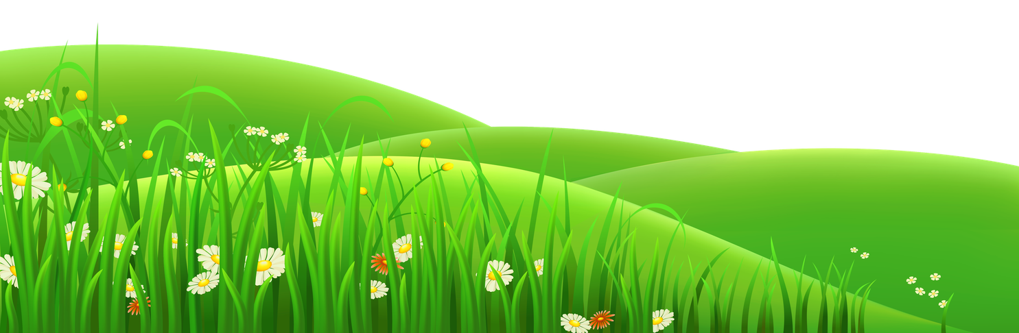 Summer Meadow Png Picture (black, olive)