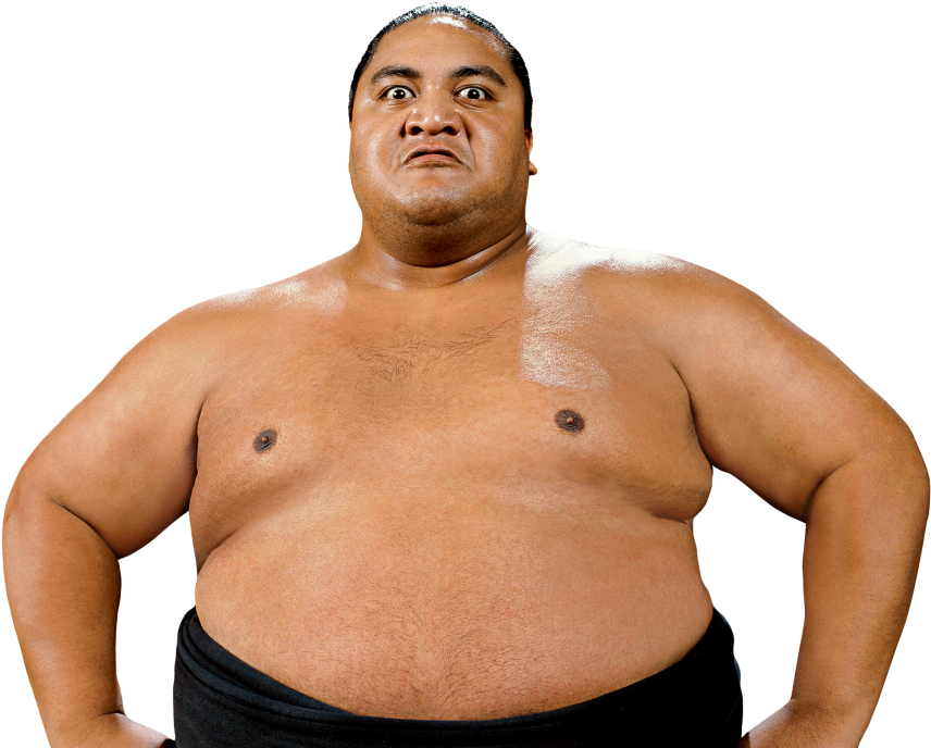 Sumo Japan Png Pic (black, salmon)