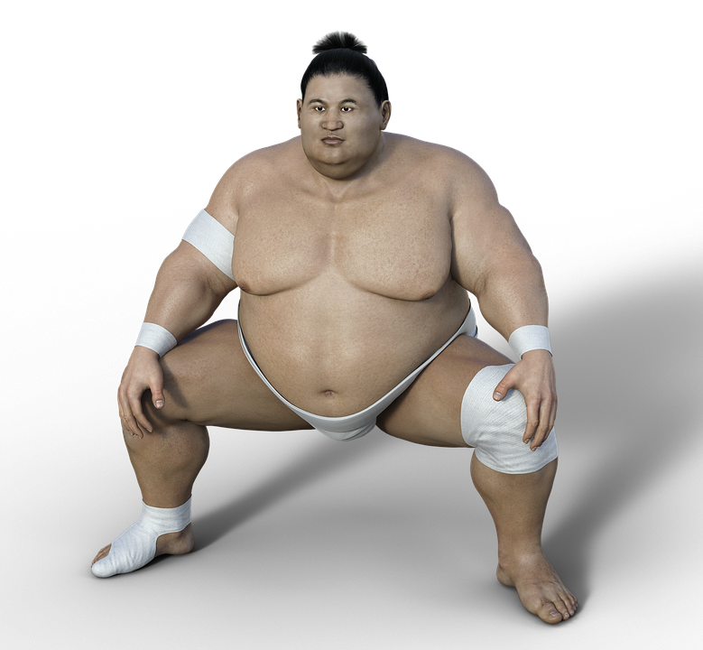 Sumo Tokyo Png File (indigo, black)