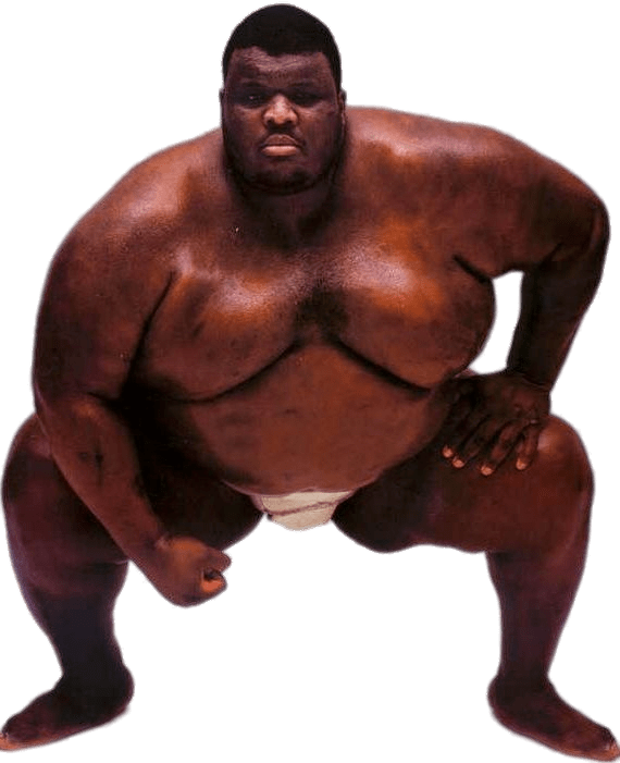 Sumo Wrestler Png (black, gray)