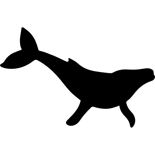 Humpback Whale Png Hd Isolated (white, silver, lavender, black)