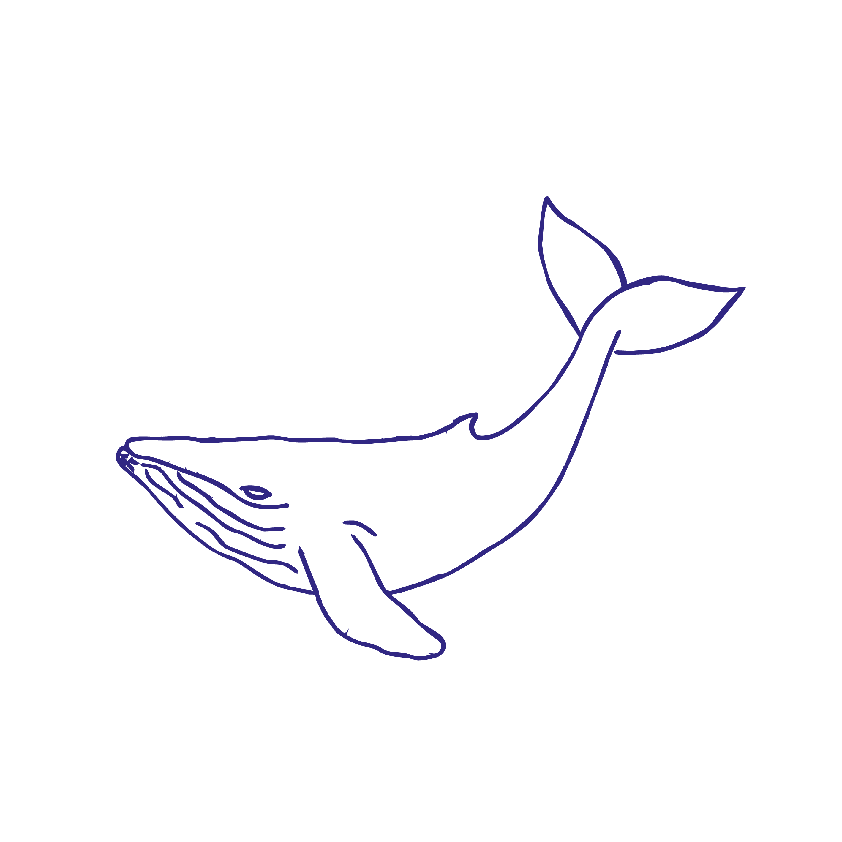 Humpback Whale Png Photo (navy, black)