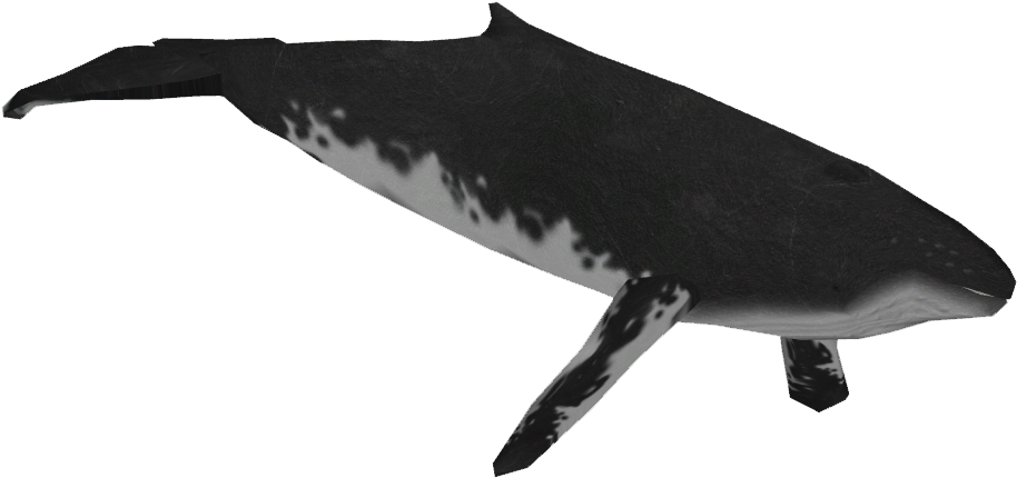 Humpback Whale Png Pic (black)