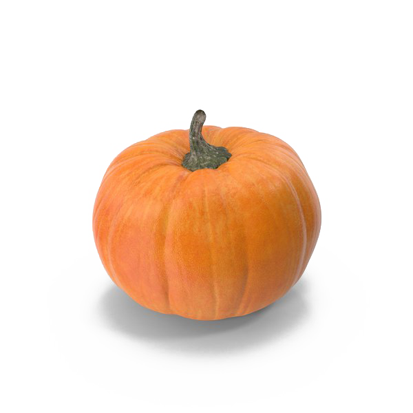 Pumpkin Patch Background Png (white)