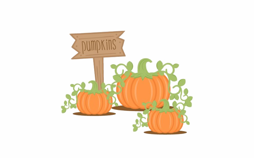 Pumpkin Patch Png Free Download (salmon, white)