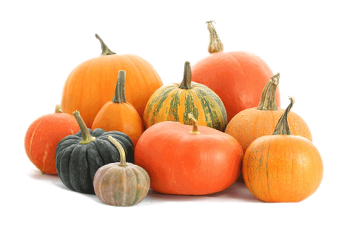 Pumpkin Patch Png Hd (indigo, black, white)