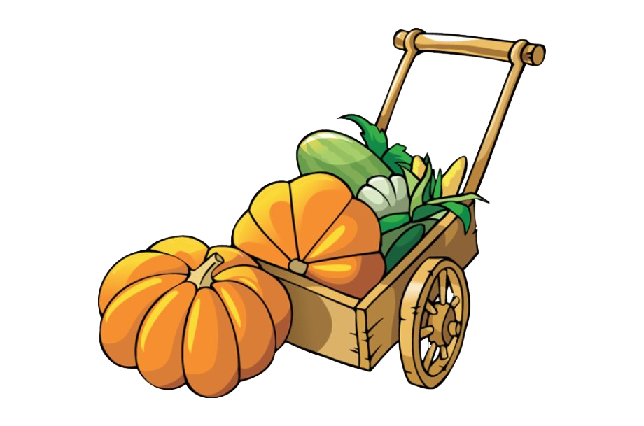 Pumpkin Patch Png Image (chocolate, orange, white)