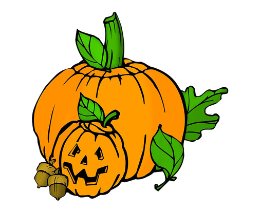 Pumpkin Patch Png Photos (orange, white)