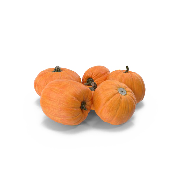 Pumpkin Patch Png Transparent Hd Photo (white)