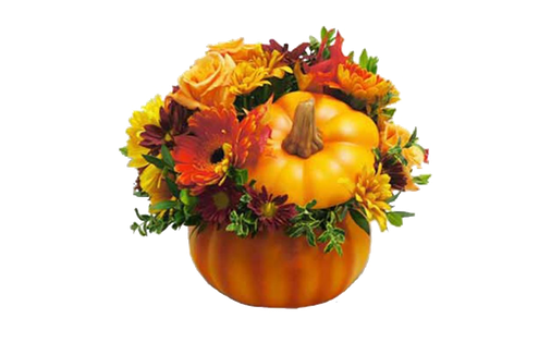 Pumpkin Patch Png Transparent Image (black, white)