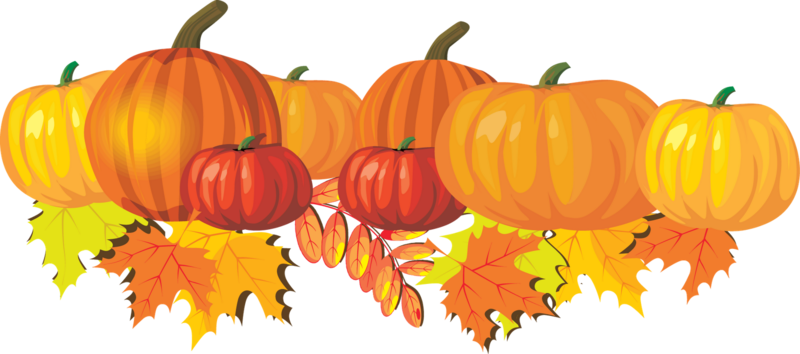 Pumpkin Patch Transparent Png (chocolate, gold, orange, black)