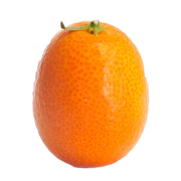 Kumquat Png Isolated Pic (gray, orange)