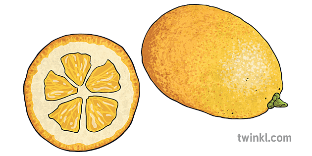 Kumquat Png Photos (gray)