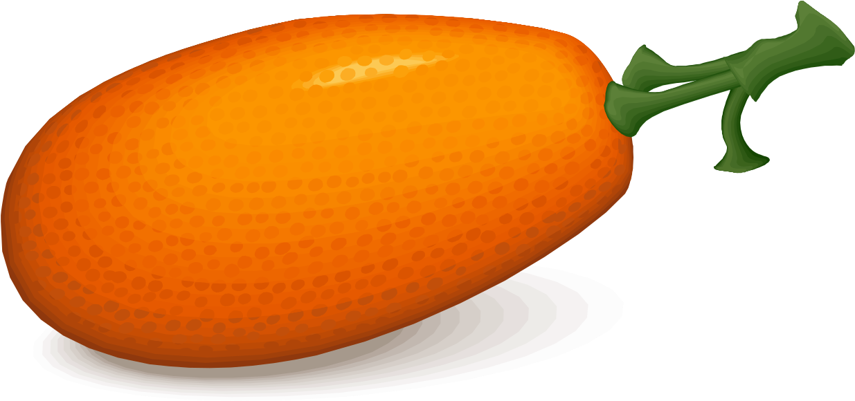 Kumquat Png Pic (orange, chocolate, black)