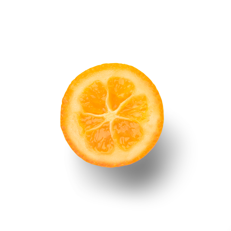 Kumquat Png Picture (orange, pink, black, salmon)