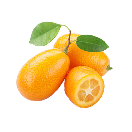 Kumquat Png (white, orange, salmon)